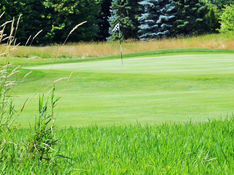 Golfing at Brentwood Golf Club & Banquet Center